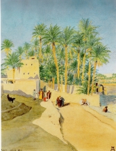 أندريه مدخل قرية عانة (613x800)